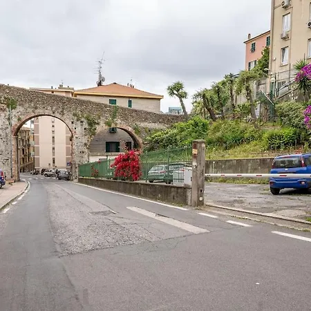 Cruise - Savona